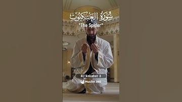 Surah Al-Ankabu 3  | Urdu-Hindi Audio Translation | سورة العنكبوت | #surah #islamdaily #quran