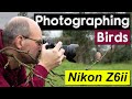 Using the Nikon Z6ii to photograph birds and initial setup