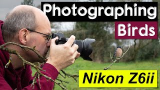 Using the Nikon Z6ii to photograph birds and initial setup