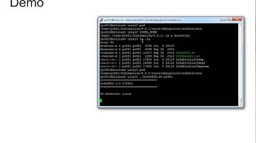 How to run INFA9PID in a Unix Environment