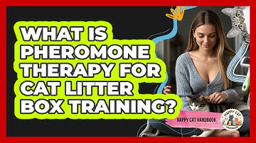 What Is Pheromone Therapy For Cat Litter Box Training? - Happy Cat Handbook