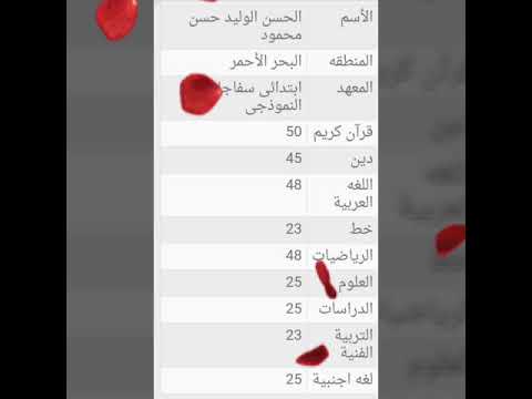 نتيجة الصف السادس الابتدائى الترم الاول 2019 بنين 