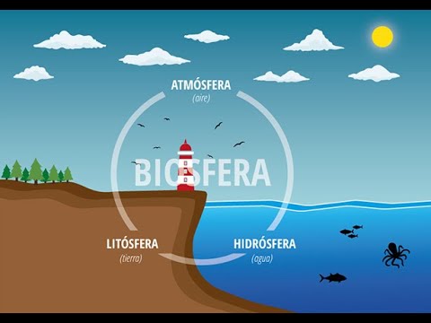 Video: Atmosfera va uning tarkibiy qismlari nima?