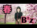 【私が女版B'z】春/B'z Ver.Asumi