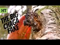 Chaga Hunting - How to Find It and What To Do With It Part.2