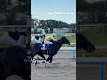 競馬学校模擬レース 2R 梨郷オータムカップ ダ1700m 谷原圭太さん リリーアローが1着