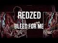 Bleed for Me - REDZED [guitar cover]