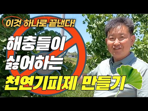 직접 만든 강력한 천연기피제로 해충들을 몰아내는 비법 대공개! 텃밭농사 따라하기 4편 [농부의정석 ep.9]