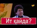 Ит қайда? «Бауыржан шоу»