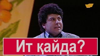 картинка: Ит қайда? «Бауыржан шоу»