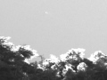 Comet C/2011W3 Lovejoy  2011-12-17  10:55 UT