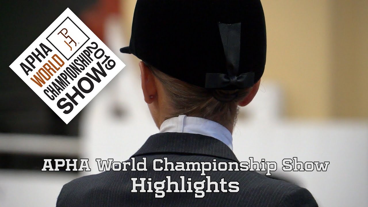 2019 APHA World Championship Show Highlights YouTube