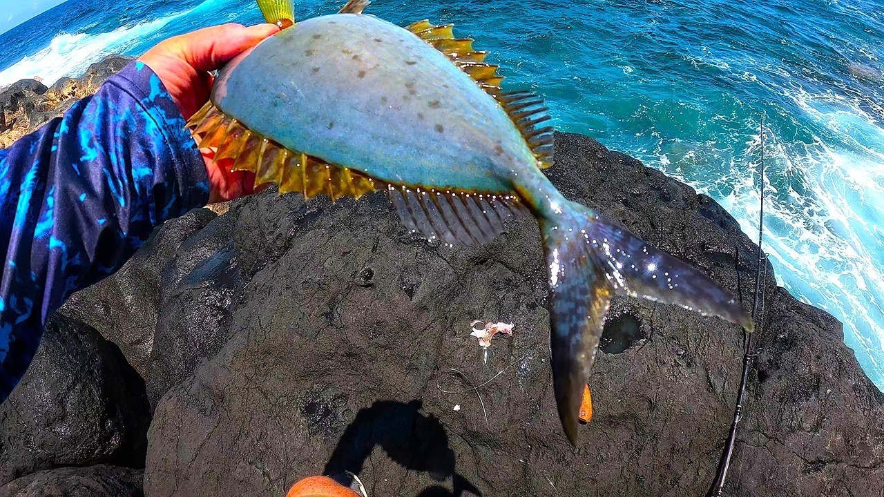 Pêche du Bord au BULDO / la Calée / Leurre ça Tire.. sur ce Spot