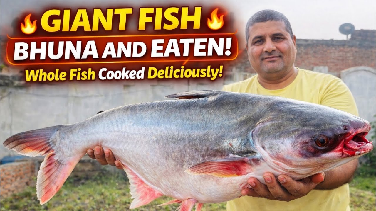 Giant Whole Fish Bhuna | Desi Style Full Fish Roast & Taste Tuna Fish ...