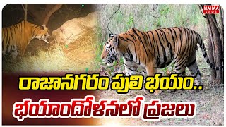 రజనగర పల భయ..భయదళనల పరజల Leopard Tension In Rajanagaram