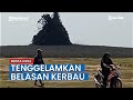 Semburan Lumpur Bercampur Gas di Jawa Tengah Tenggelamkan Belasan Kerbau