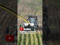 #landtechnikvideosde #farming #agrartechnik  #landwirtschaft #traktoren #feldhäcksler #johndeere
