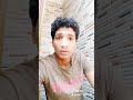 ميوزيكلى صحيت المومياء من التابوت