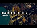 Black Label Society - Sold my Soul (Unblackened)