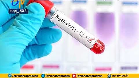 Nipah virus kills Kerala nurse, toll rises to 10