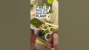 Testing out the Silicone guards from Gardyn!  Do you they really prevent the growth of algae￼?￼