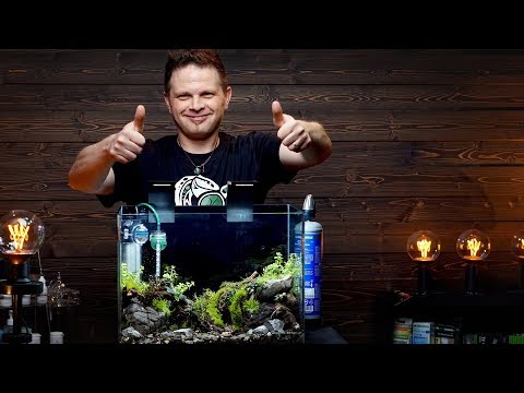 Video: Vilket Mini-akvarium Man Ska Välja, Hur Man Utrustar Och Vem Man Ska Fylla I