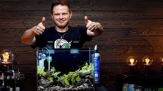 EASY PLANTED AQUARIUM SETUP - WITH VOLKER JOCHUM FROM DENNERLE