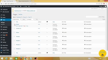How to add & delete post in wordpress in Urdu/Hindi | Video 19