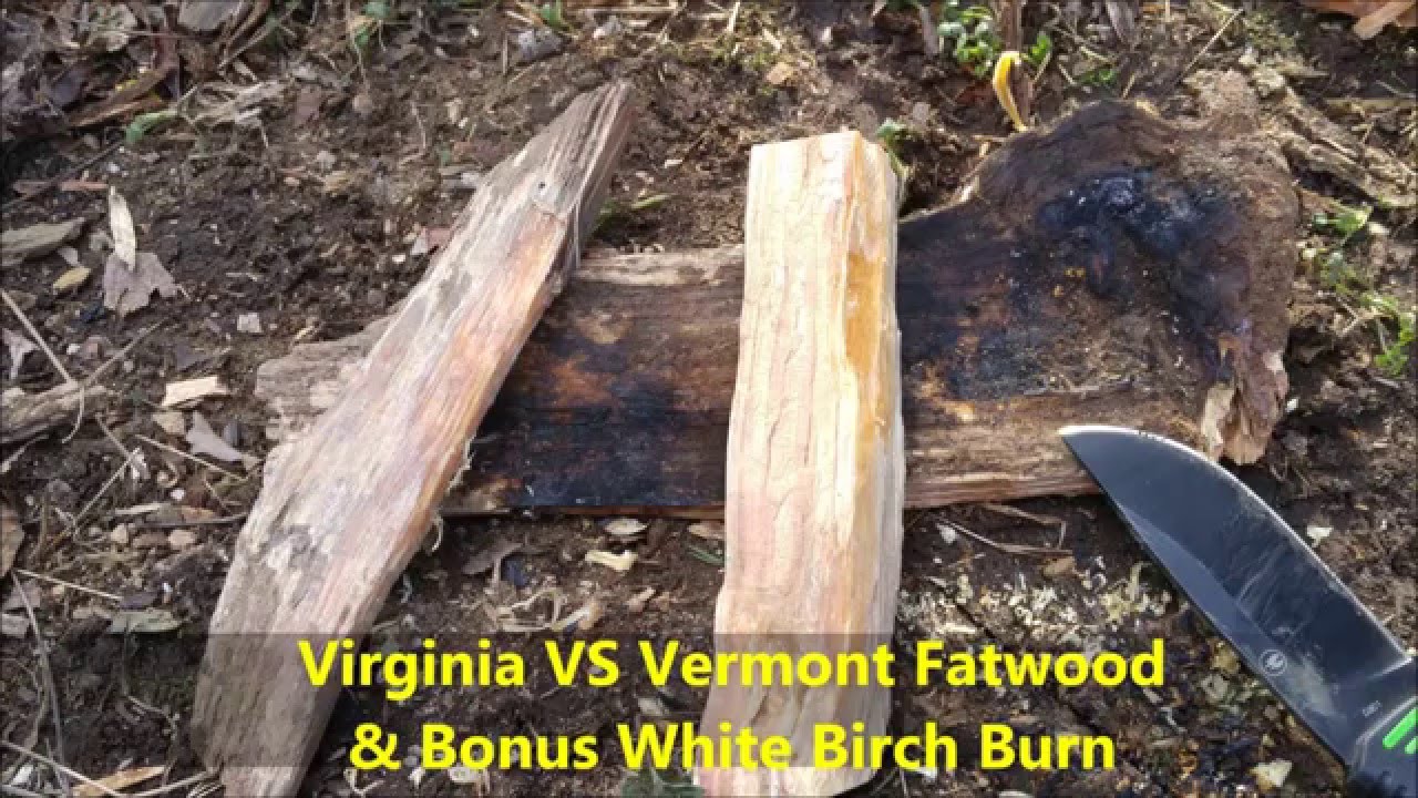 Virginia VS Vermont Fatwood cabotbluegill YouTube
