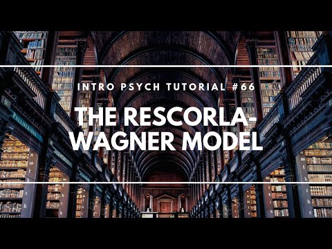 Video: Rescorla Wagner modeli engellemeyi nasıl açıklıyor?