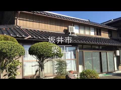 ホテバンク 民宿ニュー越前 坂井市 周辺施設 口コミ 写真 動画