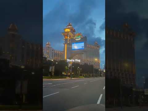 Обзор PIN UP casino с актуальным зеркалом на сегодня и приветственными бонусами за регистрацию