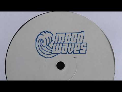 Data Memory Access (Giammarco Orsini & Jacopo Latini) - Technology [MW001]