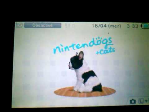 Vídeo: Nintendogs Acusados de Ataque A Criança