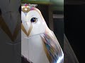 Barn Owl Becomes Anime