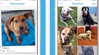 BarkBuddy: Dog Adoption App for iPhone & iPad screenshot 4