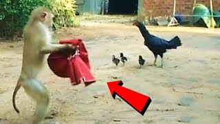 जानवरों के ऐसे कारनामे देखने के लिए नसीब लगता है दोस्त | Weird & Funny Animal Moments Part -18