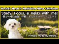 Meditation BGM Study/Work/Relax [勉強/作業/リラックスBGM] Minor Collection