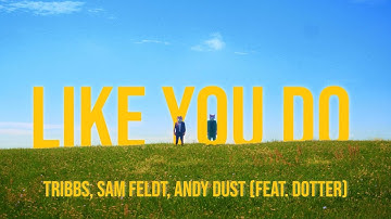 Tribbs, Sam Feldt, Andy Dust – Like you do (feat. Dotter)
