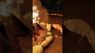 Celebrity Marcus doesn’t like that rock #funny #marcus #vrchat Net Worth