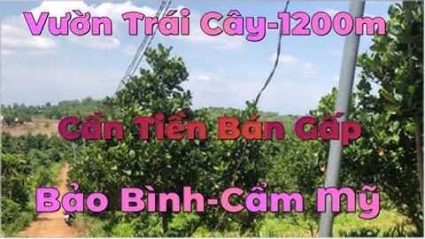 Bán Vườn Trái Cây 1200m2 Xã Bảo Bình - Cẩm Mỹ KDC Thích Hợp Làm Nhà Vườn | nhà đất đnb