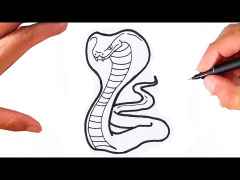 Vídeo: Como Desenhar Uma Cobra Com Um Lápis Passo A Passo