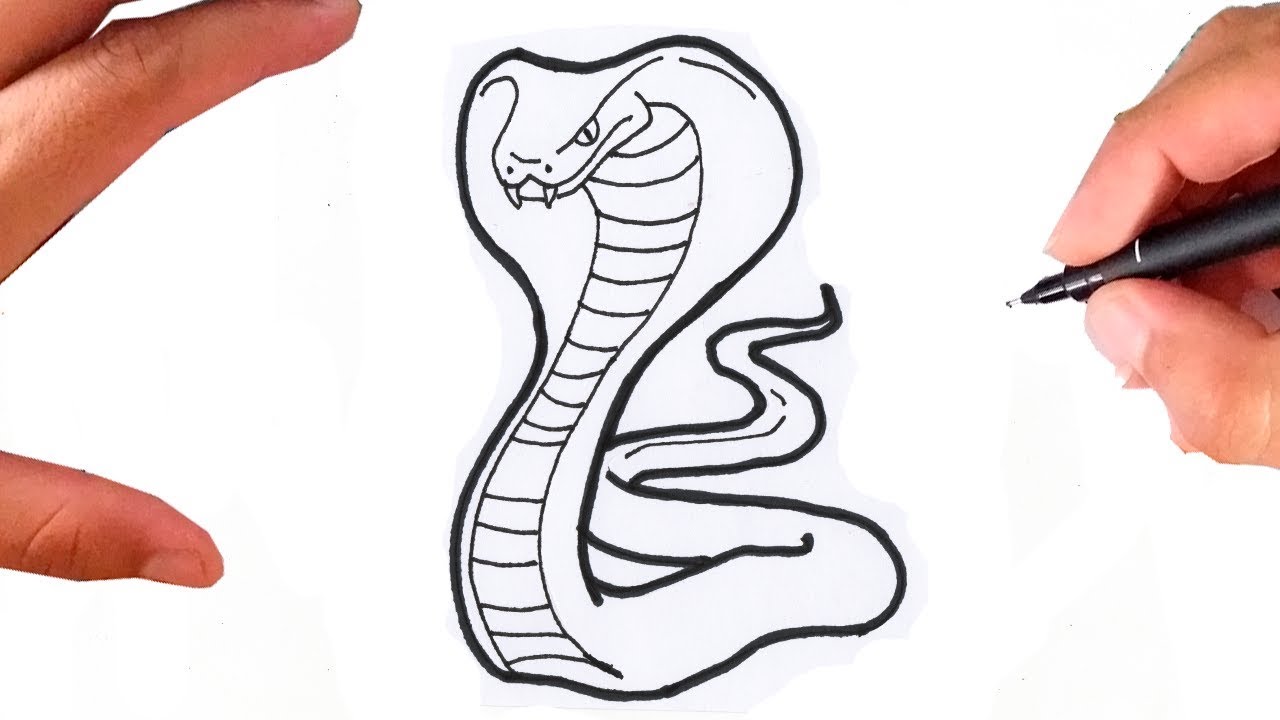 Desenhos de Cobra para colorir - Bora Colorir