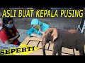 HANYA 15PAKU BISA DIBACA SEPERTI GAJAH TULISANNYA