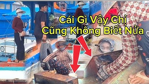 Thùng Gì Rất Bí Ẩn Thợ Lặn Gặp Phải Hết Hồn Mò Lên Rồi Mới Biết,,,,,,,,,,,,,,,,,,,,,, Youtube Lây 67