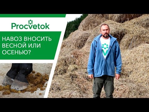 Видео: Когда следует вносить навоз?