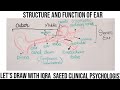 Structure and function of ear  function of ear  urdu  hindi  iqra saeed clinical psychologist