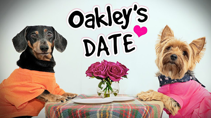 Ep 55: Oakley Goes on a DATE with Mila the Yorkie!