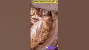 Lần đầu tiên đi đặt Lưới bát quái, lồng bát quái bắt cá và vái kết, net fishing, catfishing #shorts