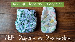 Is Cloth Diapering Cheaper than Disposables? | Cloth Diapers vs Disposable Diapers Cost Comparison